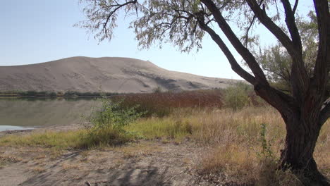 Idaho-Sanddünen-Umrahmt-Von-Bäumen